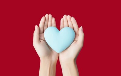 Projet de solidarité Noël 2025